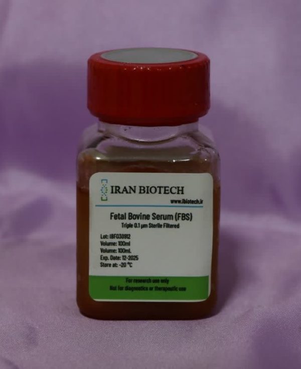 سرم FBS  سرم جنین گاوی Fetal Bovine Serum