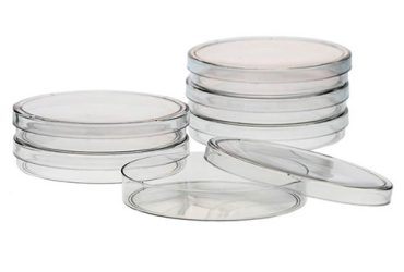 پلیت استریل میکروبی 6 سانتی متری تانیا 6cm Petri dish