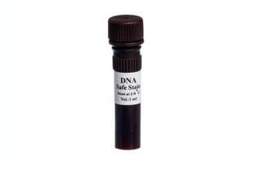 سيف استين سیناکلون DNA safe stain
