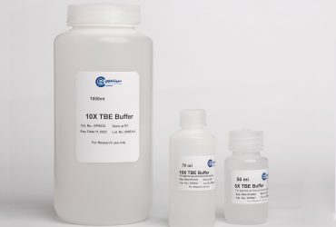 TBE Electrophoresis Buffer سیناکلون