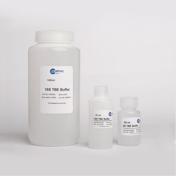 TBE Electrophoresis Buffer سیناکلون