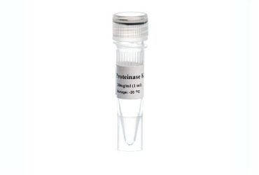 Proteinase K  پروتئیناز کا سیناکلون