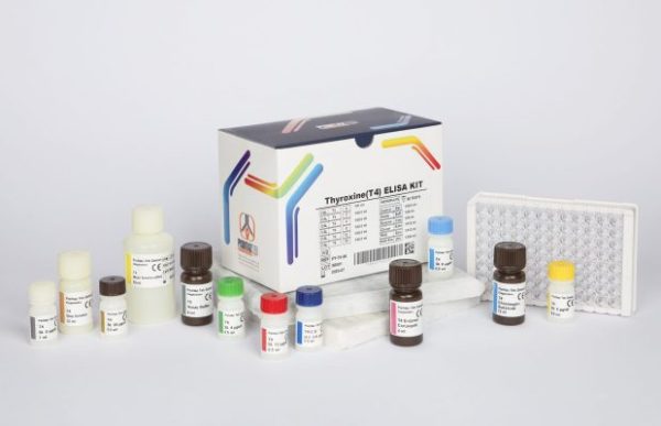 کیت T4 پیشتاز طب