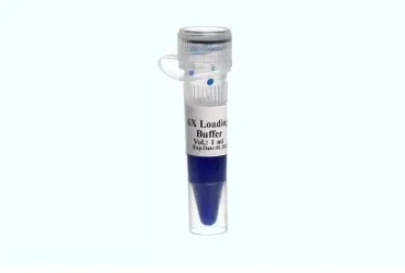 6x Loading Dye Buffer سیناکلون