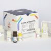کیت H pylori IgM پیشتاز طب