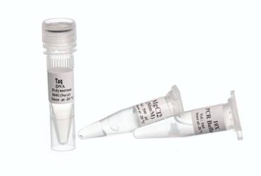 Taq DNA Polymerase 100unit سیناکلون