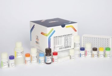 کیت Vitamin D پیشتاز طب