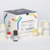 کیت H Pylori Stool پیشتاز طب