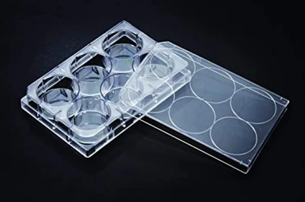 پلیت 6 خانه کشت سلول استریل SPL